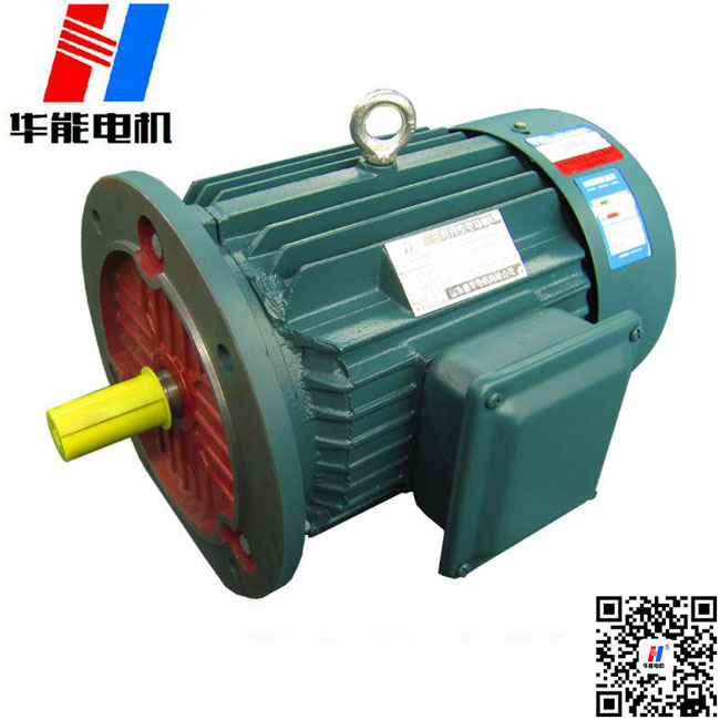 山東盛華電機(jī)生產(chǎn)廠家高效節(jié)能電機(jī) 山東盛華電機(jī)有限公司高效節(jié)能電機(jī)