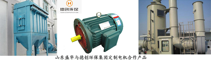 山東電機(jī)廠,環(huán)保設(shè)備專用電機(jī),電機(jī)定制 山東電機(jī)廠,環(huán)保設(shè)備專用電機(jī),電機(jī)定制