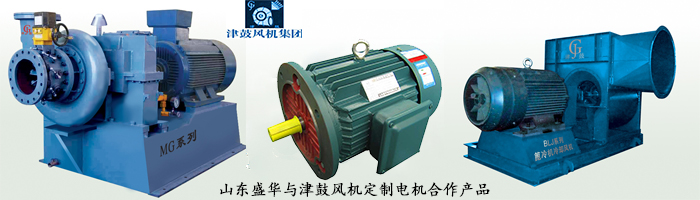 山東電機廠,風機專用電機,電機定制 山東電機廠,風機專用電機,電機定制