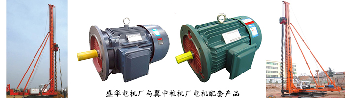 打樁機(jī)專用電機(jī) 打樁機(jī)專用電機(jī)