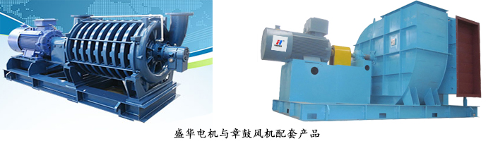 風(fēng)機(jī)專用電機(jī) 風(fēng)機(jī)專用電機(jī)