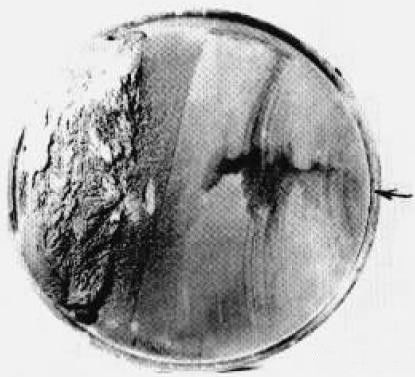 大功率電機.山東盛華電機生產(chǎn)廠家