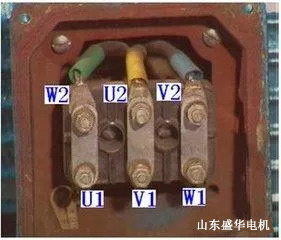 大功率電機.山東盛華電機生產(chǎn)廠家