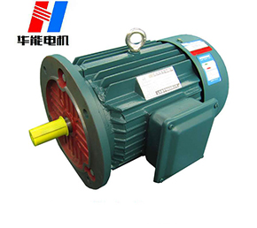 大功率電機.山東盛華電機生產(chǎn)廠家