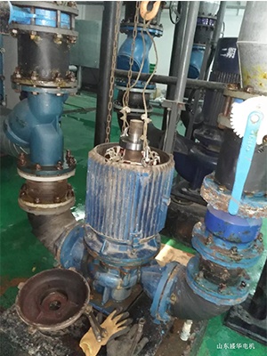 大功率電機.山東盛華電機生產(chǎn)廠家