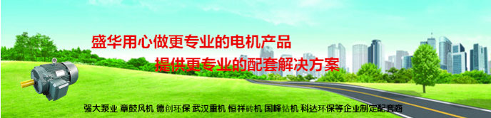 電機生產(chǎn)廠家,山東電機,高效節(jié)能電機