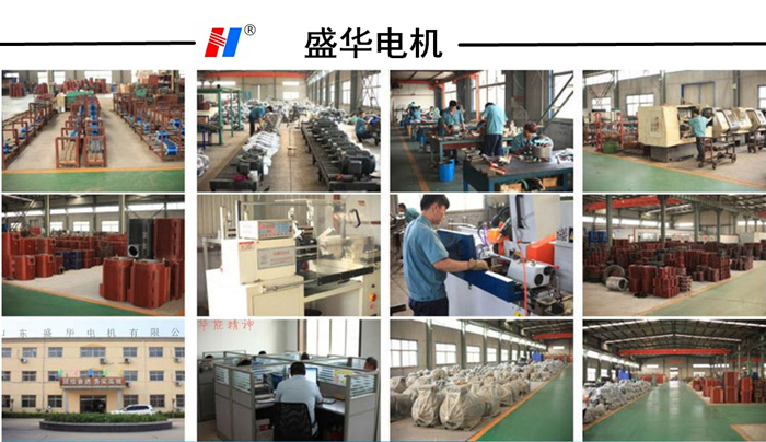 變頻調(diào)速電機(jī)廠,變頻調(diào)速電機(jī),山東電機(jī)
