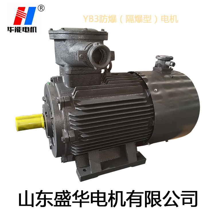 山東變頻電機,電機生產(chǎn)廠家,大功率防爆電機,電機防護等級 山東變頻電機,電機生產(chǎn)廠家,大功率防爆電機,電機防護等級