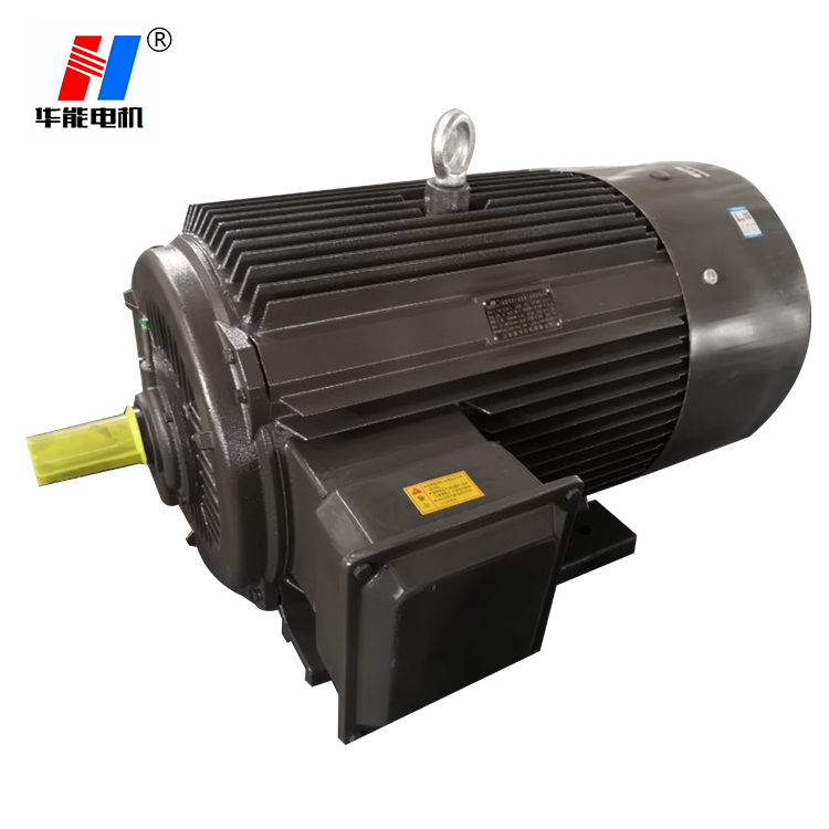 山東盛華電機廠定制高原電機 山東電機,山東電機公司,高原電機,高海拔電機,高原電機定制