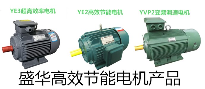 YVP2變頻調(diào)速電機(jī) 山東電機(jī)廠,電機(jī)生產(chǎn)廠家,盛華電機(jī),變頻調(diào)速電機(jī)