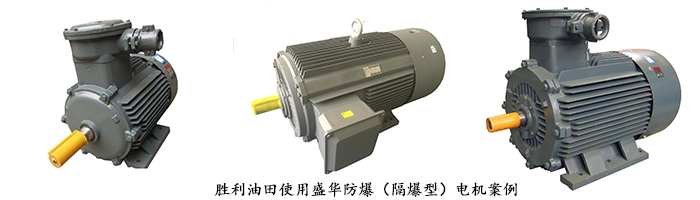 大功率防爆電機(jī) 山東電機(jī)廠,大功率防爆電機(jī),山東電機(jī),防爆電機(jī)