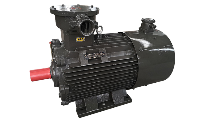 山東電機(jī),聊城電機(jī)廠家,變頻電機(jī),防爆電機(jī),變頻防爆電機(jī)