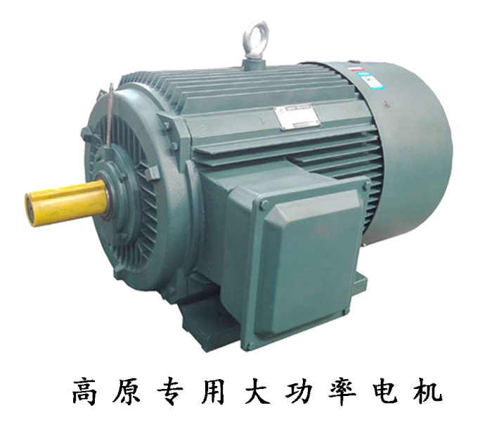 高原專用大功率電機(jī) 高原專用大功率電機(jī)