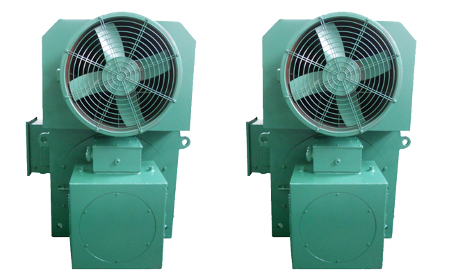 山東電機(jī)廠,盛華電機(jī),大功率電機(jī),高壓電機(jī)