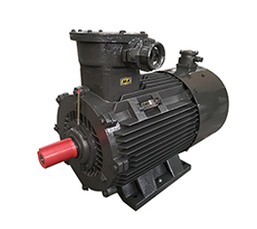 隔爆型變頻電機(jī) 隔爆型變頻電機(jī)