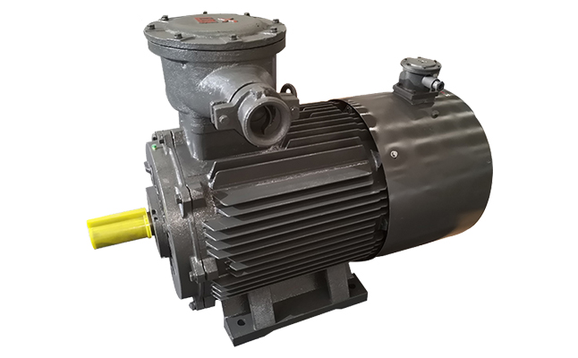 專業(yè)防爆電機(jī)定制生產(chǎn)廠家 山東電機(jī)廠,盛華電機(jī),防爆電機(jī),防爆三相電動機(jī)