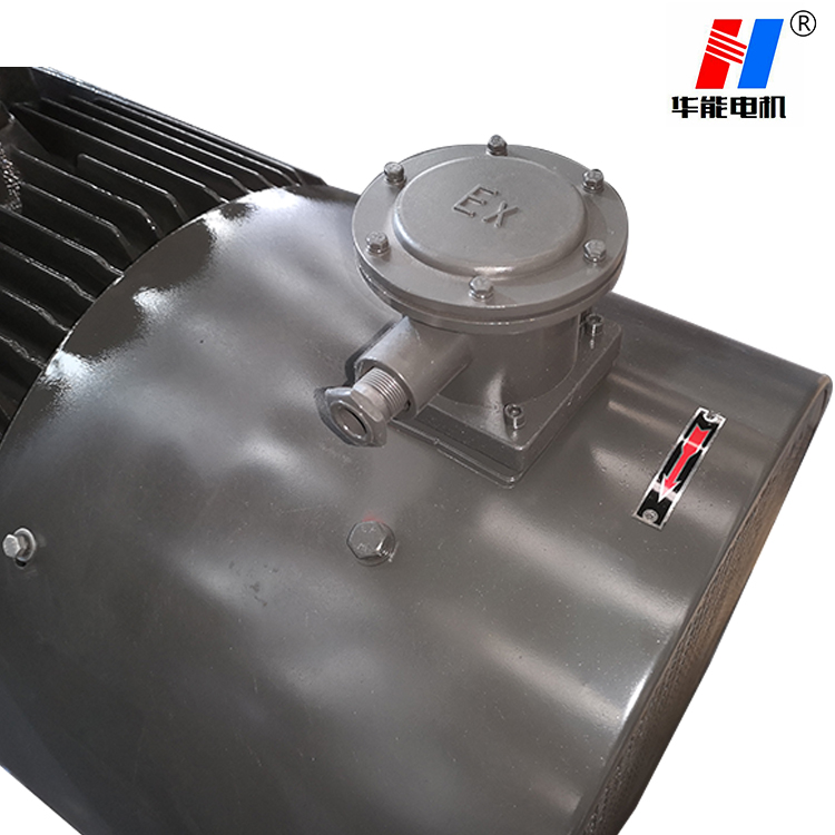 電機(jī)廠家,電機(jī)生產(chǎn)廠家,防爆三相電動(dòng)機(jī)