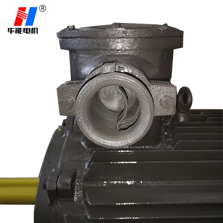 電機(jī)廠家,電機(jī)生產(chǎn)廠家,防爆三相電動(dòng)機(jī)