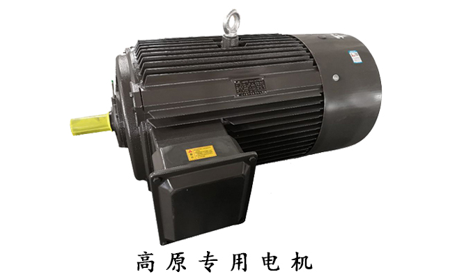 高原專用電動機 山東電機廠,三相異步電動機,電動機