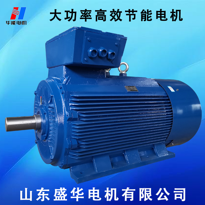 山東電機廠,電機生產(chǎn)廠家,大功率電機