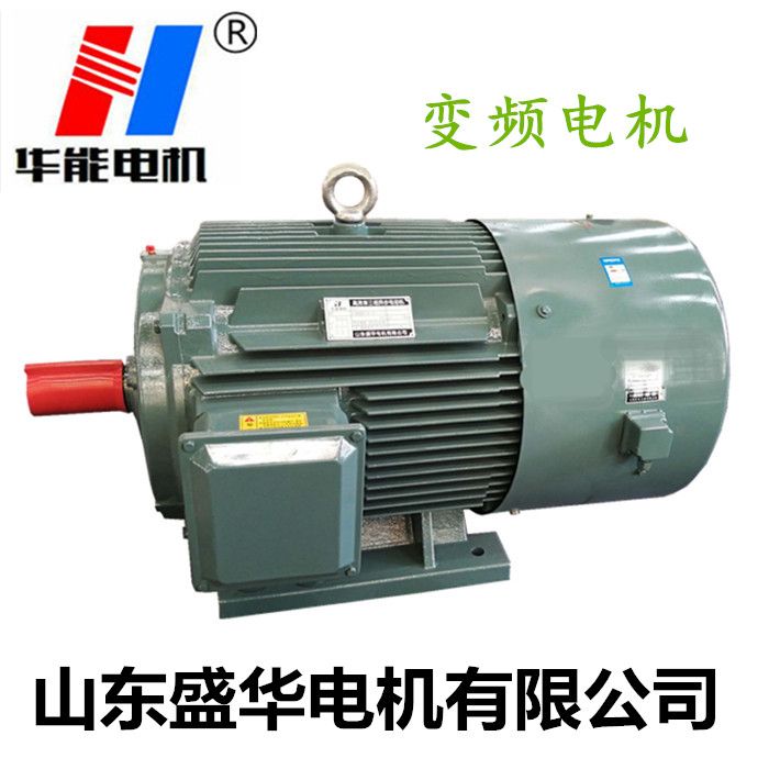 山東電機(jī)廠,電機(jī)生產(chǎn)廠家,三相異步電機(jī),變頻電機(jī)