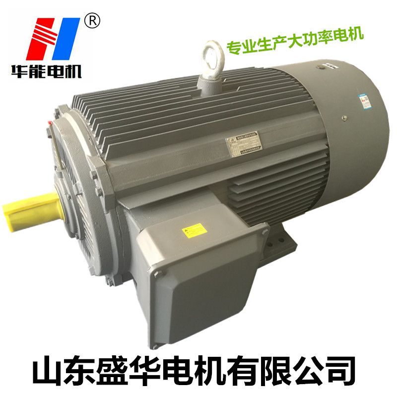 山東電機廠,電機生產(chǎn)廠家,大功率電機