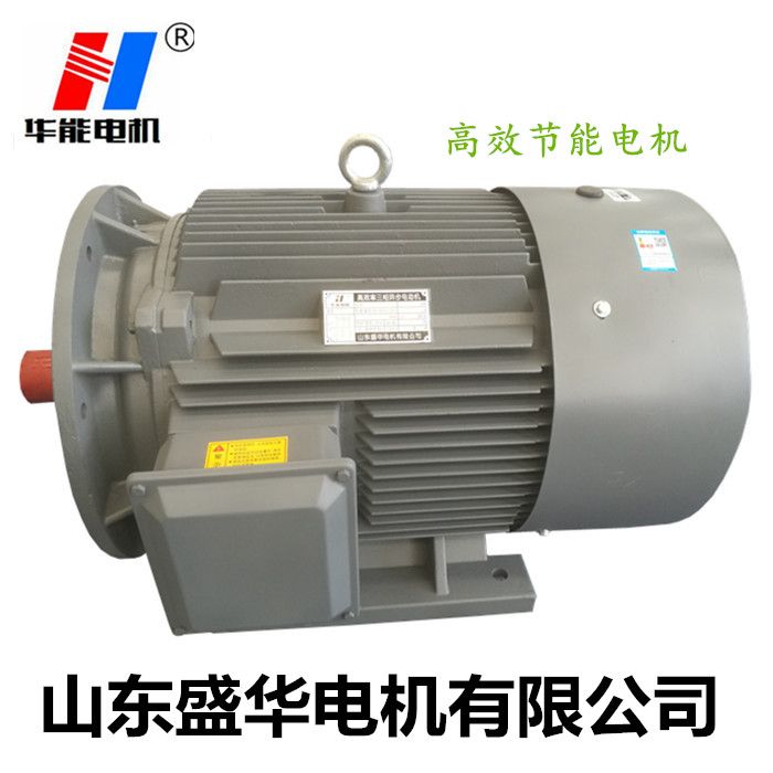 電機(jī)生產(chǎn)廠家,電機(jī)廠,大功率電機(jī),大功率電機(jī)廠