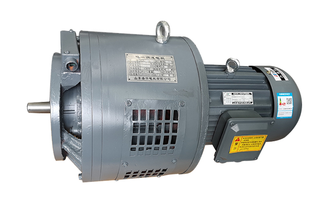 臨清電機(jī)廠,電機(jī)生產(chǎn)廠家,大功率電機(jī)