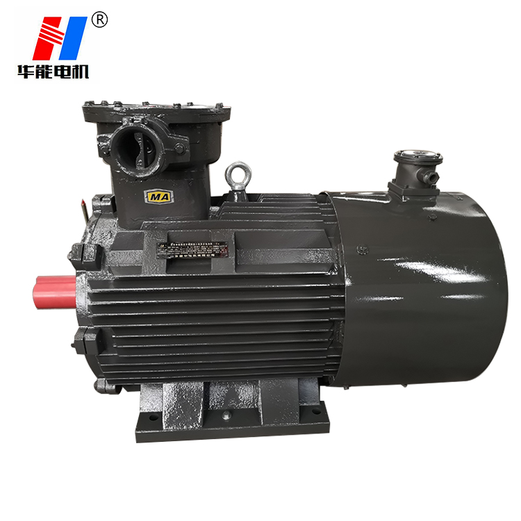 山東電機(jī)廠,電機(jī)生產(chǎn)廠家,大功率電機(jī)