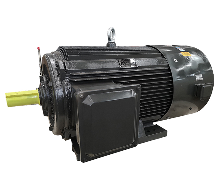 山東電機(jī)廠,臨清電機(jī)生產(chǎn)廠家,戶外電機(jī),電動(dòng)機(jī)