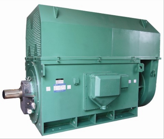 山東電機(jī)生產(chǎn)廠家高壓電機(jī)