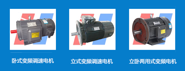 山東盛華,變頻調(diào)速電機(jī)
