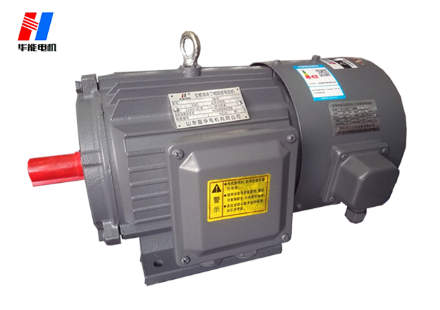 山東盛華變頻電機(jī)