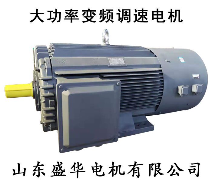大功率變頻電機(jī)生產(chǎn)廠家