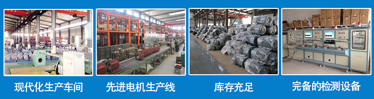 山東盛華電機(jī)廠