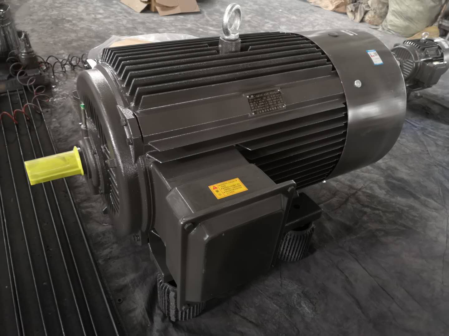 山東盛華-變頻調(diào)速電動(dòng)機(jī)