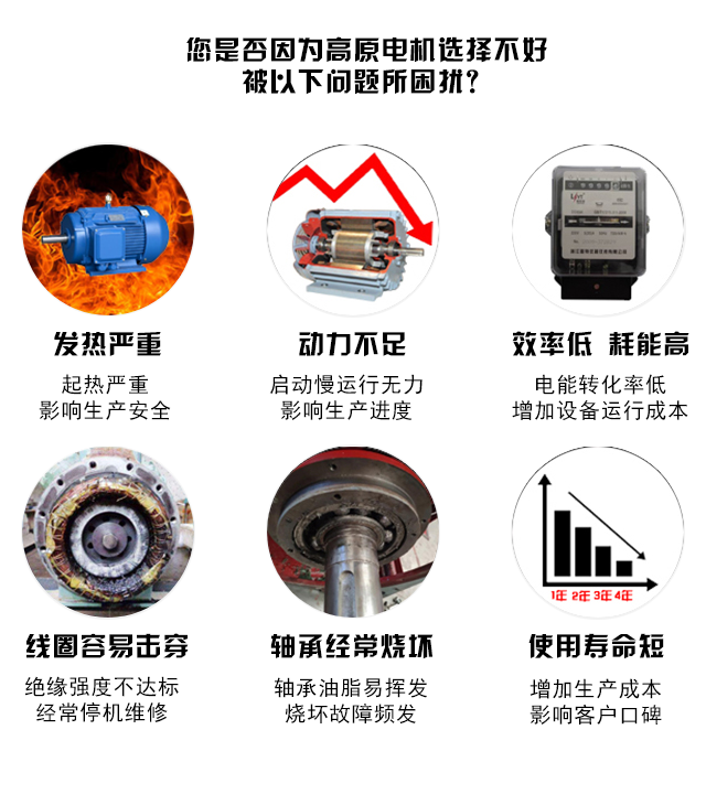 山東高原電機(jī)廠-高原專用變頻電機(jī)