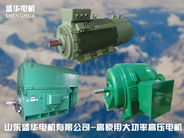 山東高原電機廠-高原專用高壓電機