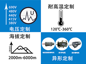 山東高原電機(jī)廠-盛華電機(jī)