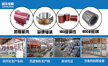 山東盛華電機廠 山東盛華電機廠