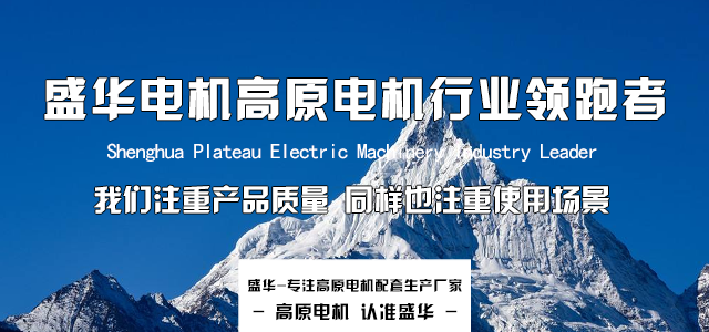 山東高原電機(jī)廠家淺談高原電機(jī)性能的特殊性