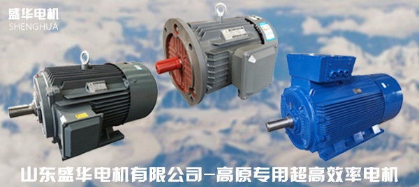 山東電機(jī)廠家,高原電機(jī)廠家,高原電機(jī)廠